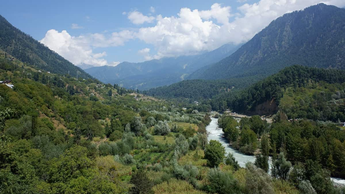 Hokersar Wildlife Sanctuary Jammu and Kashmir