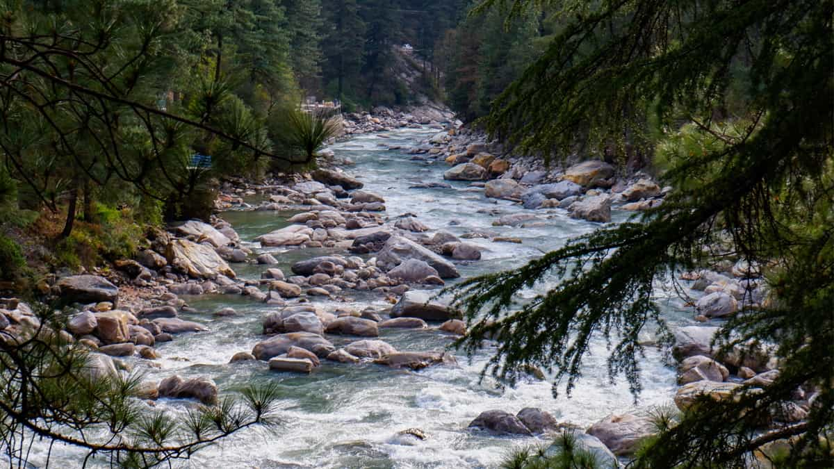 Kalatop Khajjiar Wildlife Sanctuary Himachal Pradesh