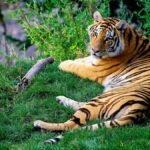 Karhandla Wildlife Sanctuary Maharashtra