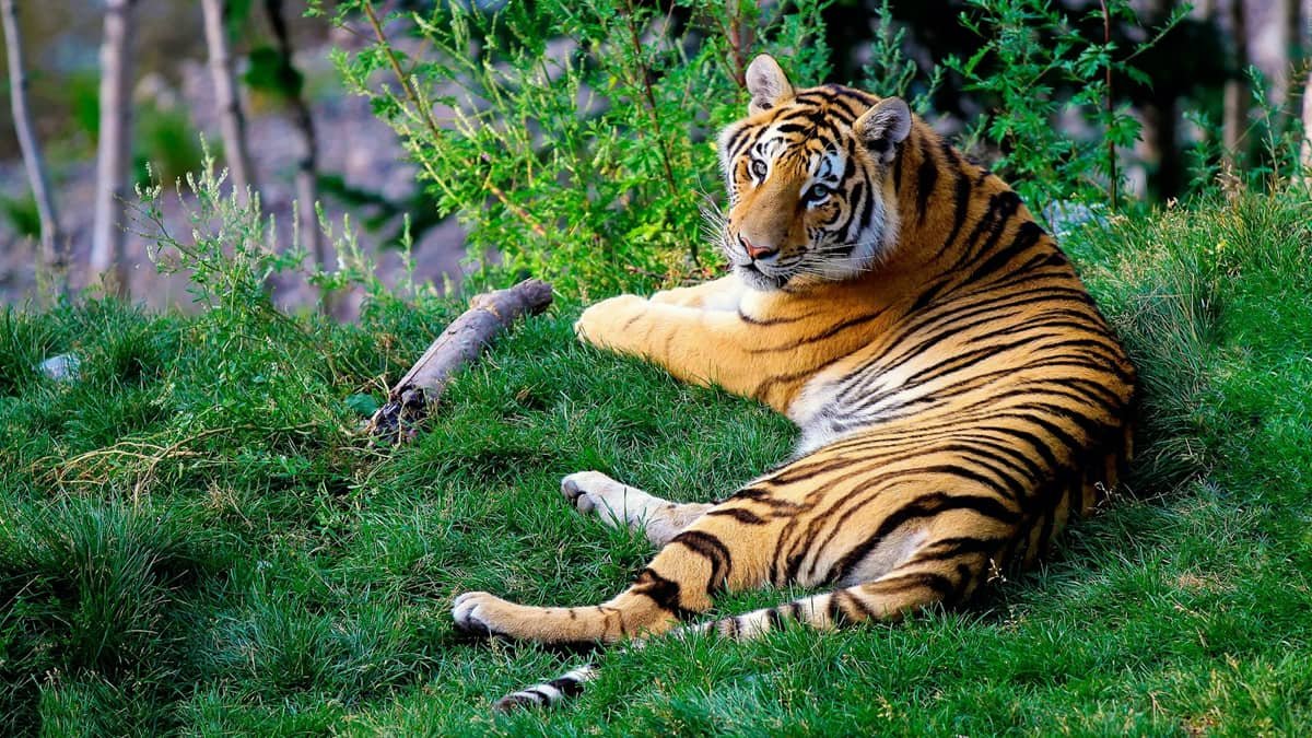 Karhandla Wildlife Sanctuary Maharashtra