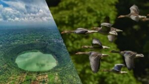Lonar Wildlife Sanctuary Maharashtra