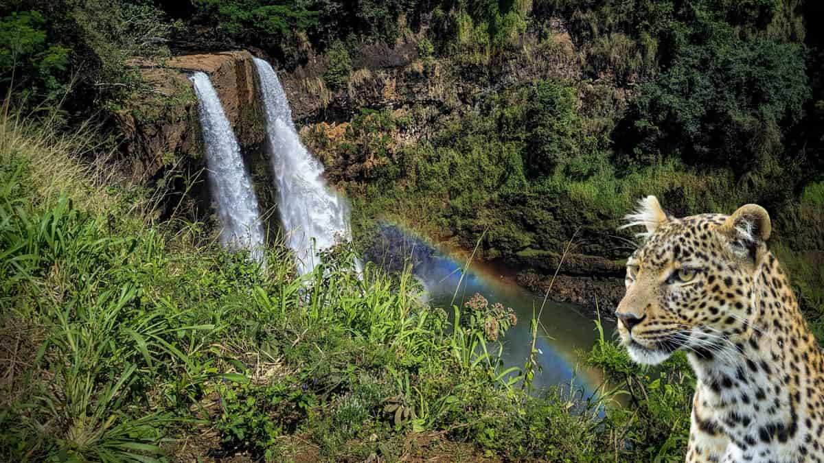 Madei Wildlife Sanctuary Goa