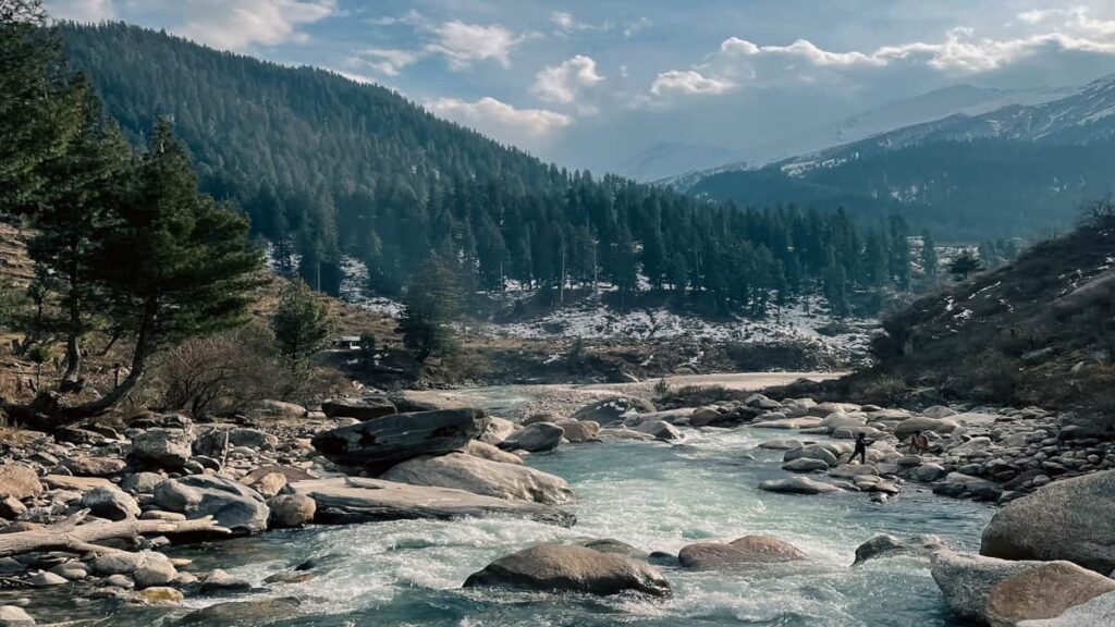 Shimla Water Catchment Wildlife Sanctuary Himachal Pradesh