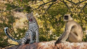 Thimlapura Wildlife Sanctuary Karnataka