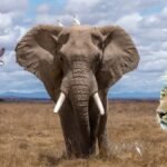 Wildlife Sanctuaries in Arunachal Pradesh