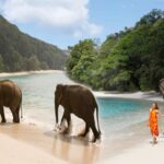 96 Wildlife Sanctuaries in the Andaman Islands