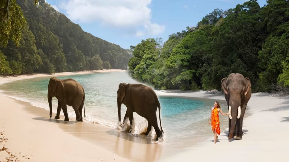 96 Wildlife Sanctuaries in the Andaman Islands