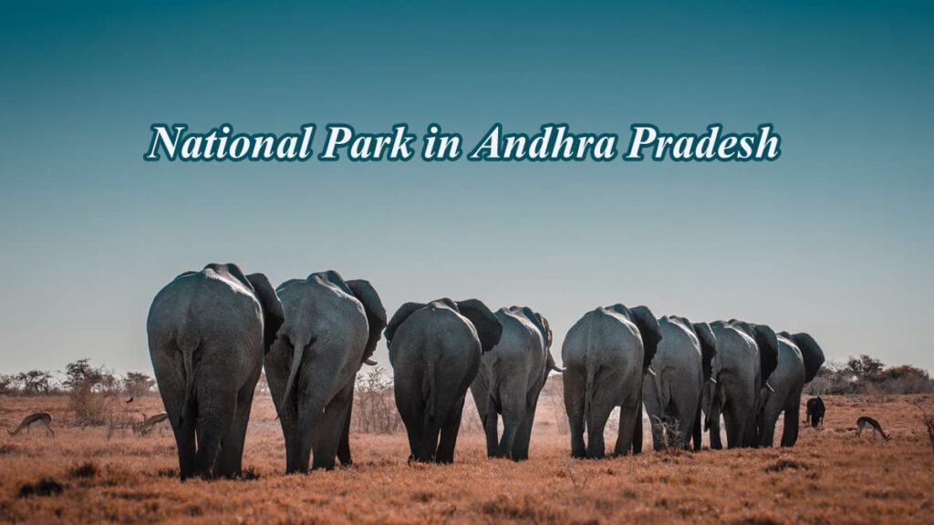 National Park in Andhra Pradesh