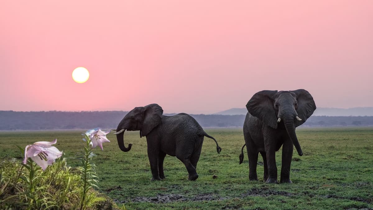 Shirui National Park