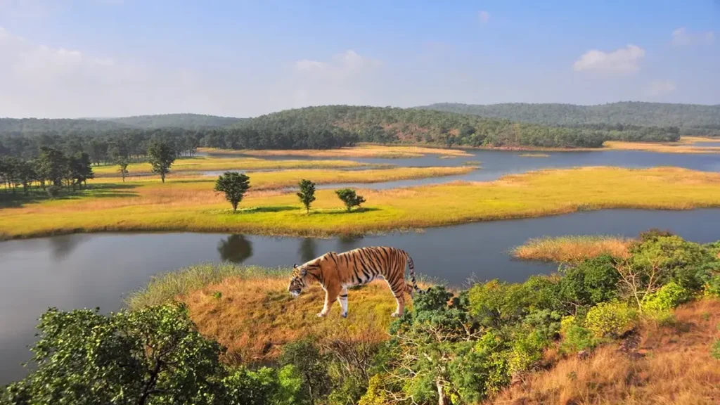 Ratapani Tiger Reserve