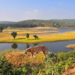 Ratapani Tiger Reserve